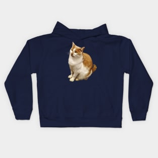 Orange and White Short Haired Cat Kids Hoodie